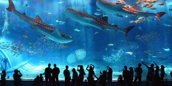 oceanarium